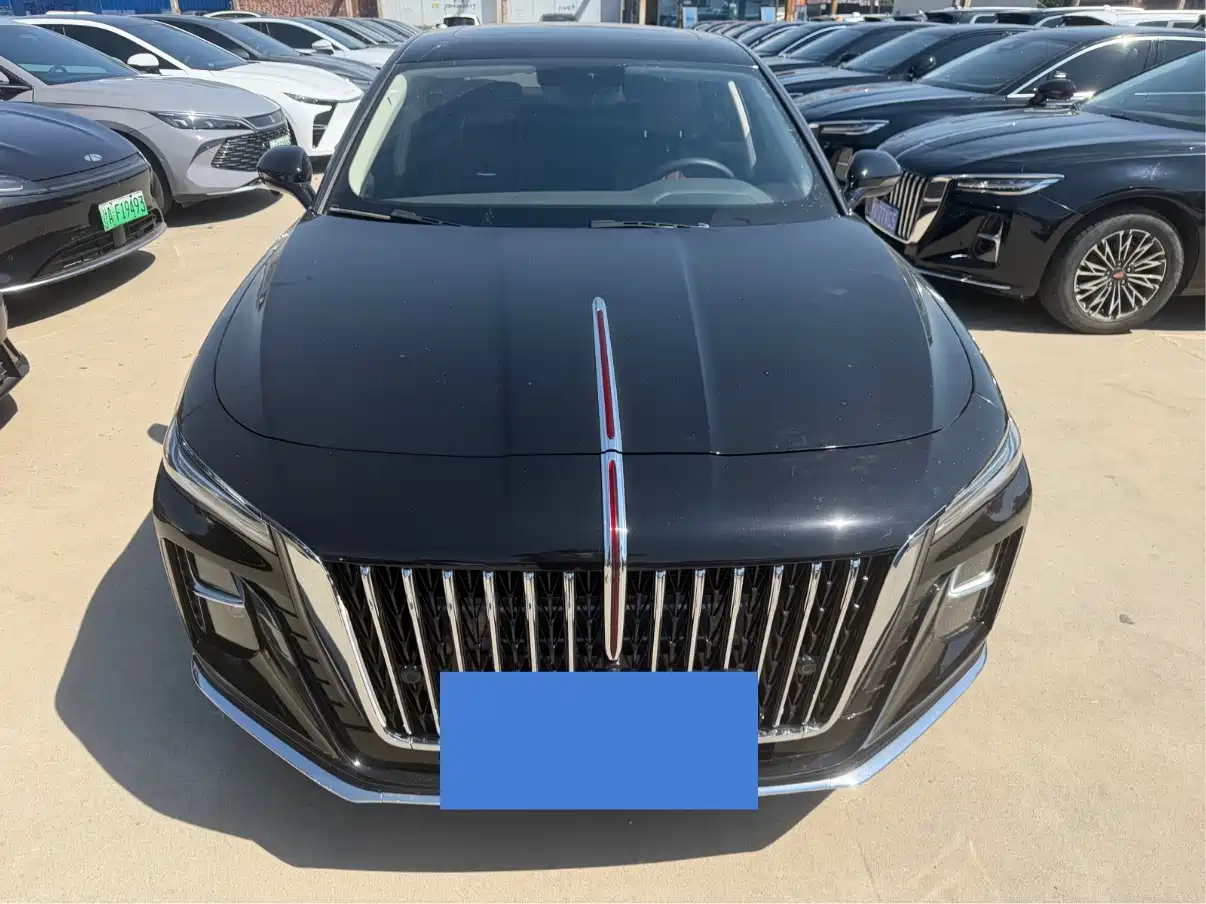Hongqi H5 2023 1.5T DCT Smart Connect Joy Edition фото 2