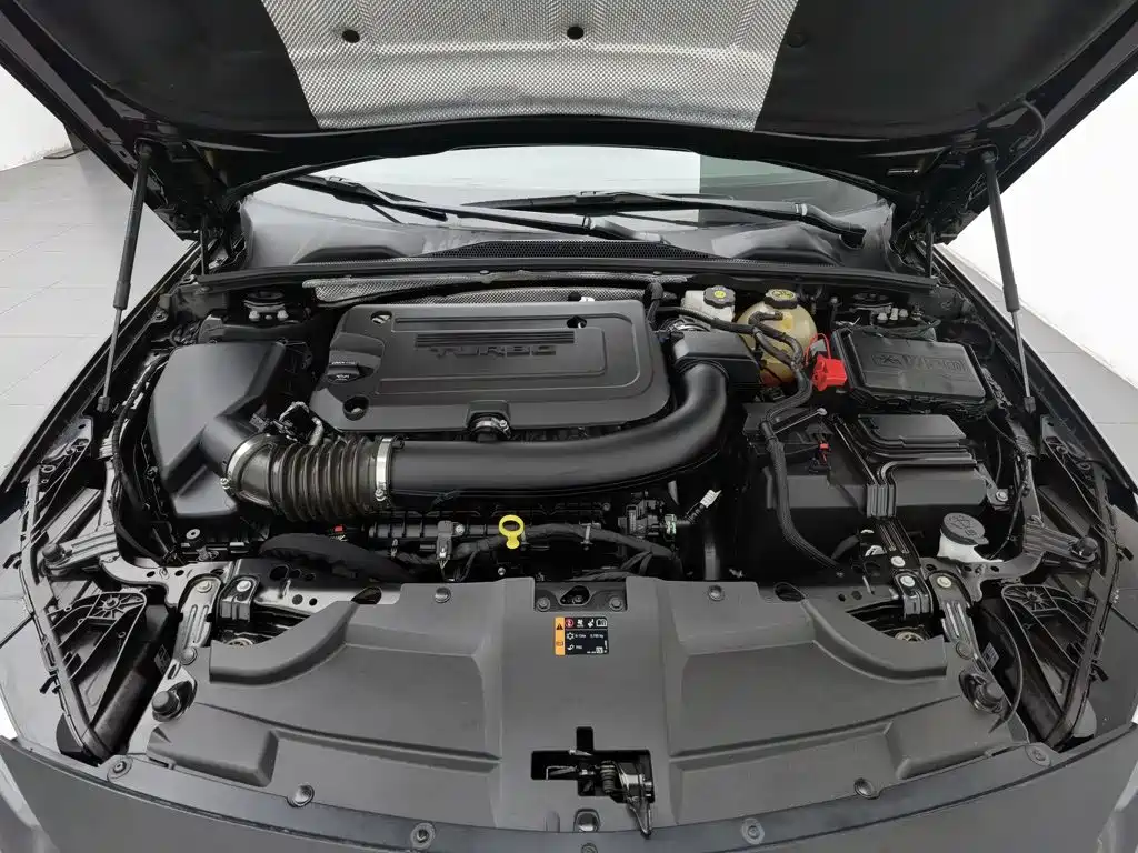 Buick Regal, миниатюра 6