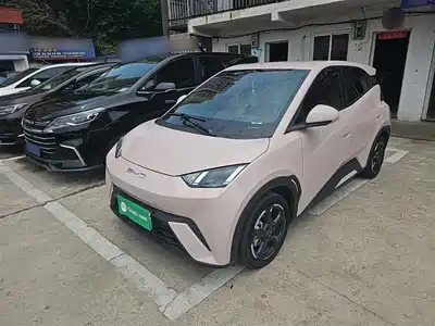 BYD Seagull