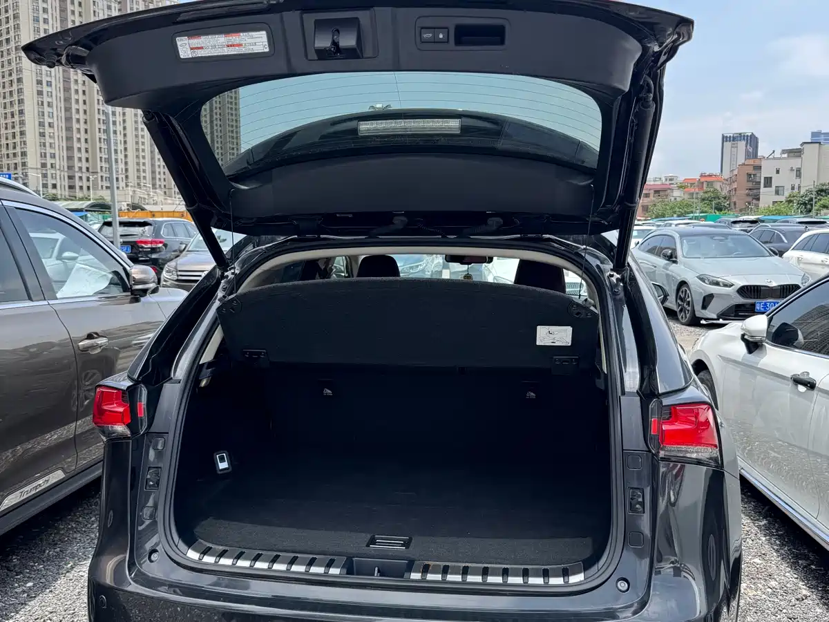 Lexus NX 2020 200 AWD F Sport China VI фото 19