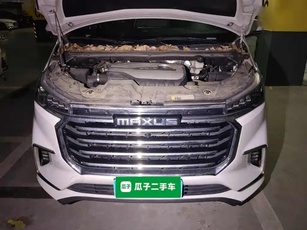 SAIC Maxus Maxus G20 2020 2.0T Gasoline Automatic Smart Premium фото 11
