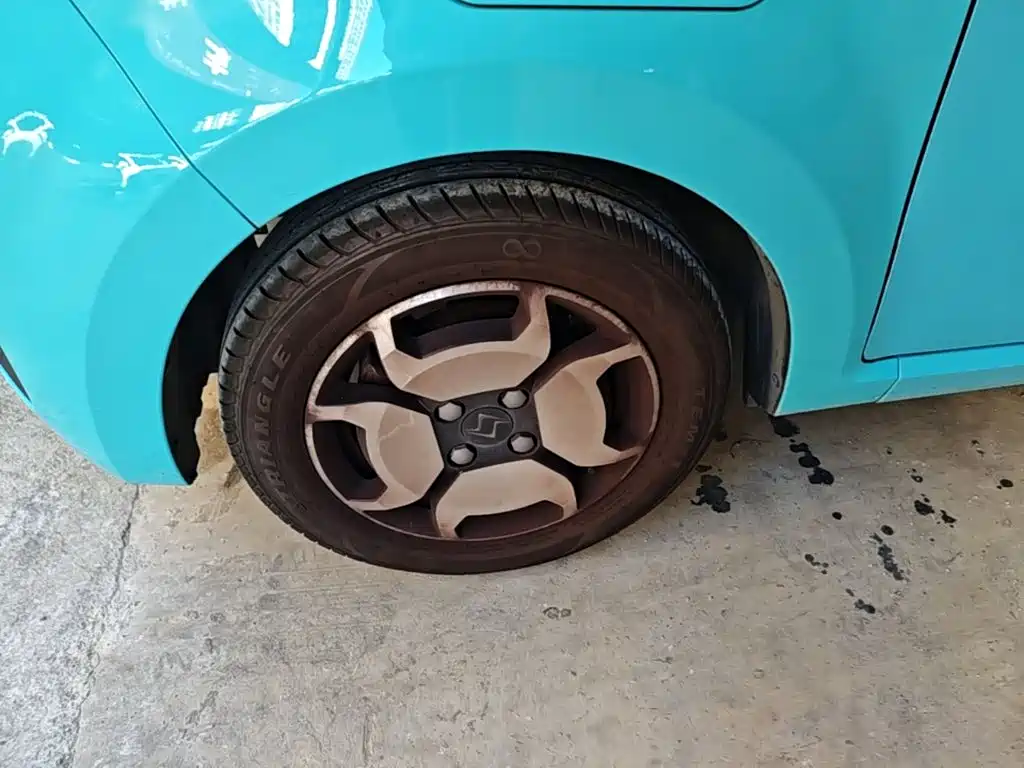 Sehol Flower Fairy 2021 2021 302km Luxury Edition 31.4kWh