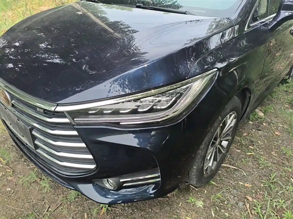 BYD Song MAX 2019 1.5T Auto Smart Connected Sunroof 6-seater China VI фото 24