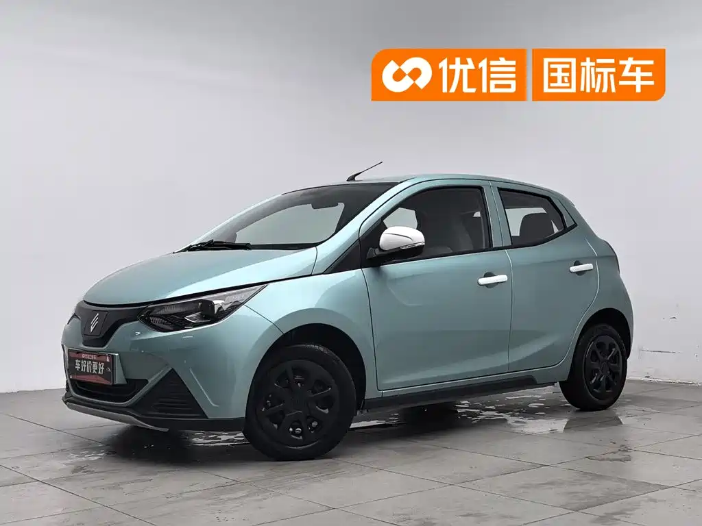 JMCG New Energy Little Kirin 2024 2023 Model Lucky Edition 201km Comfort