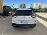 Фото 6 - Honda XR-V