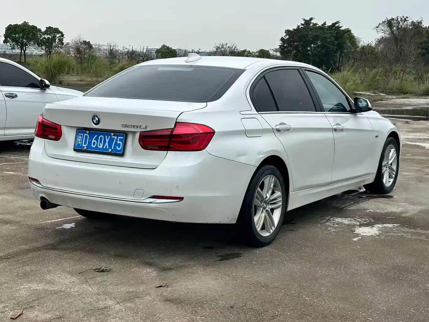 BMW 3 Series 2016 320Li Luxury Design Package фото 6