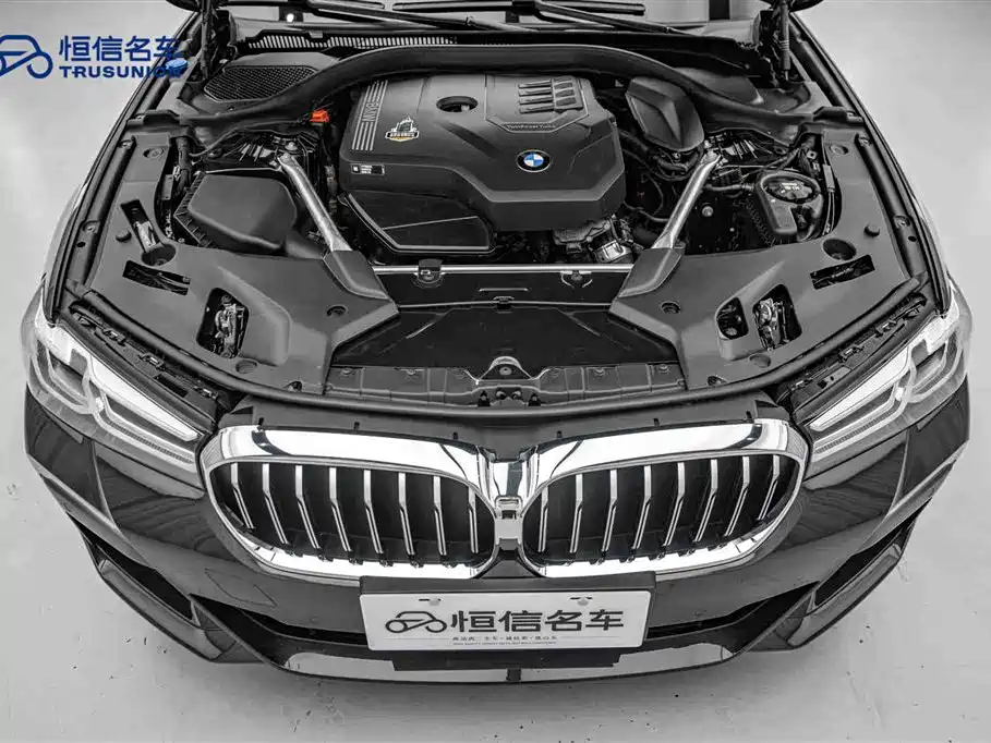 BMW 5 Series (Import) 2022 525i M Sport Package фото 21