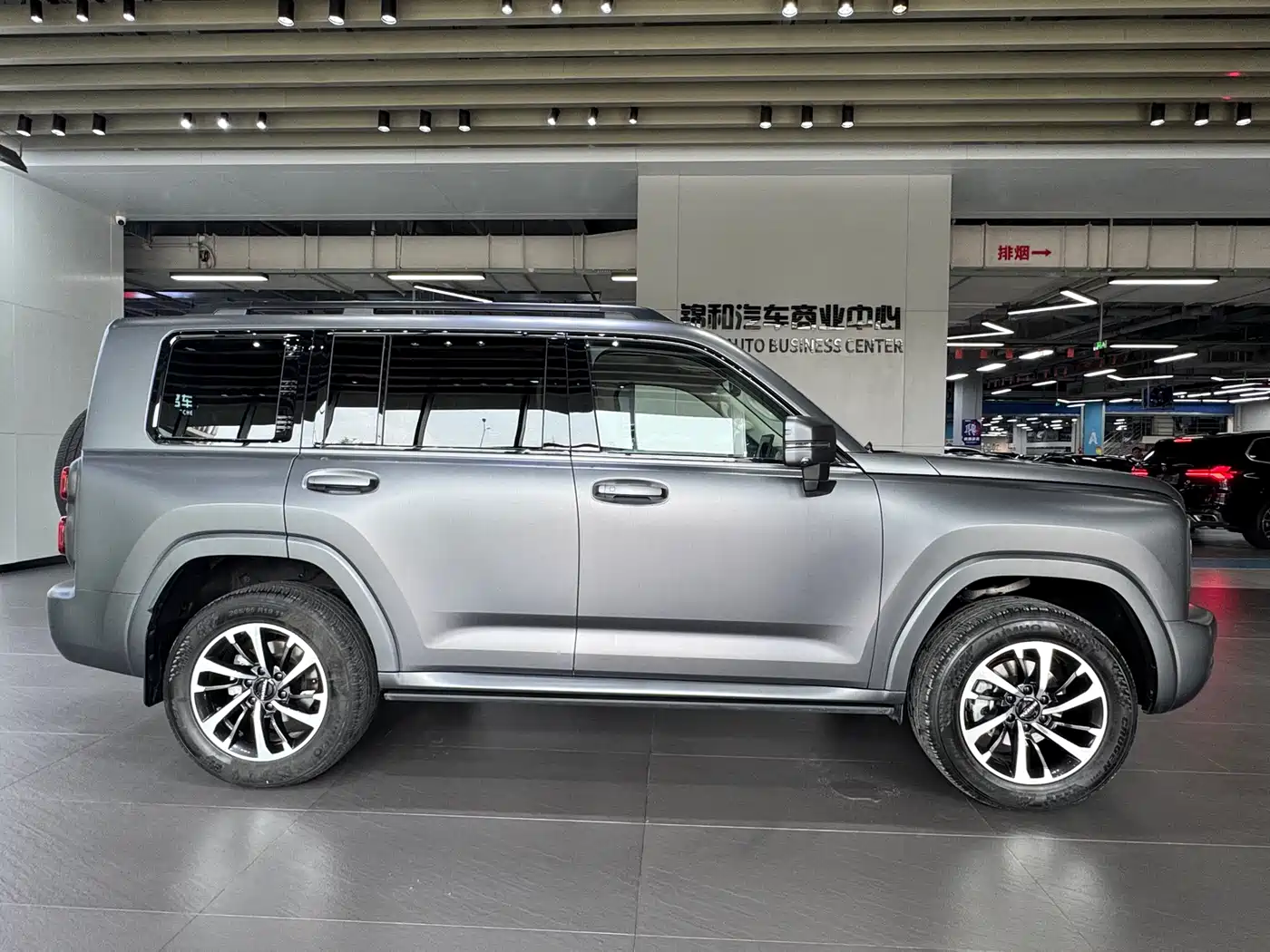 Haval H9 2024 2.0T Gasoline AWD Extreme Edition фото 4