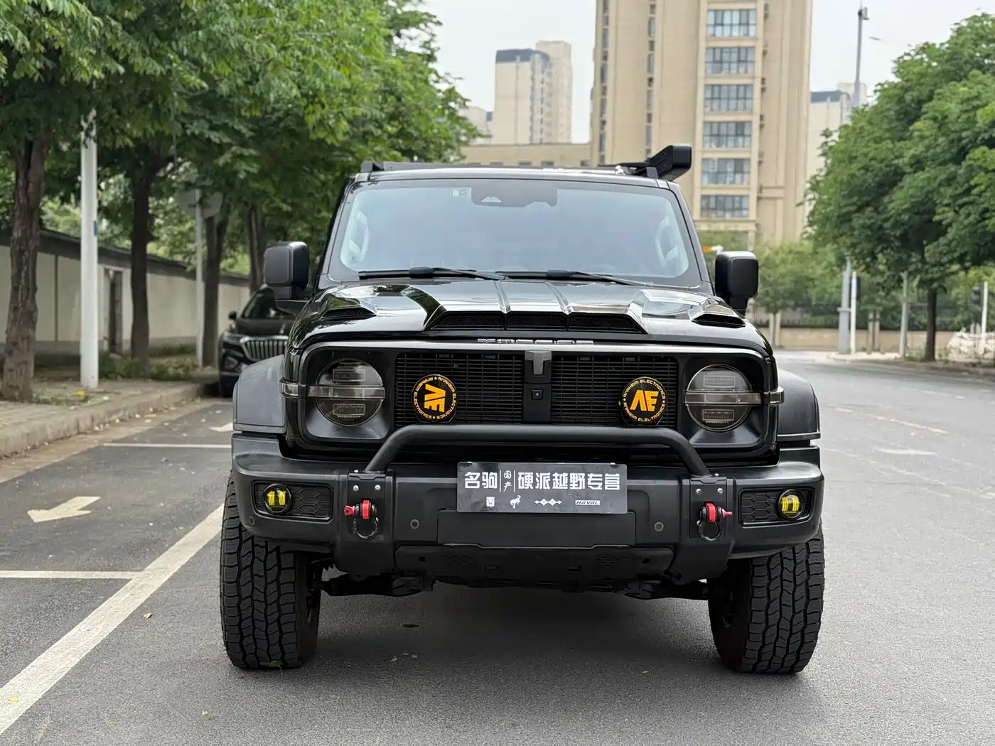 Tank 300 2021 Off-road Version 2.0T Conqueror фото 2