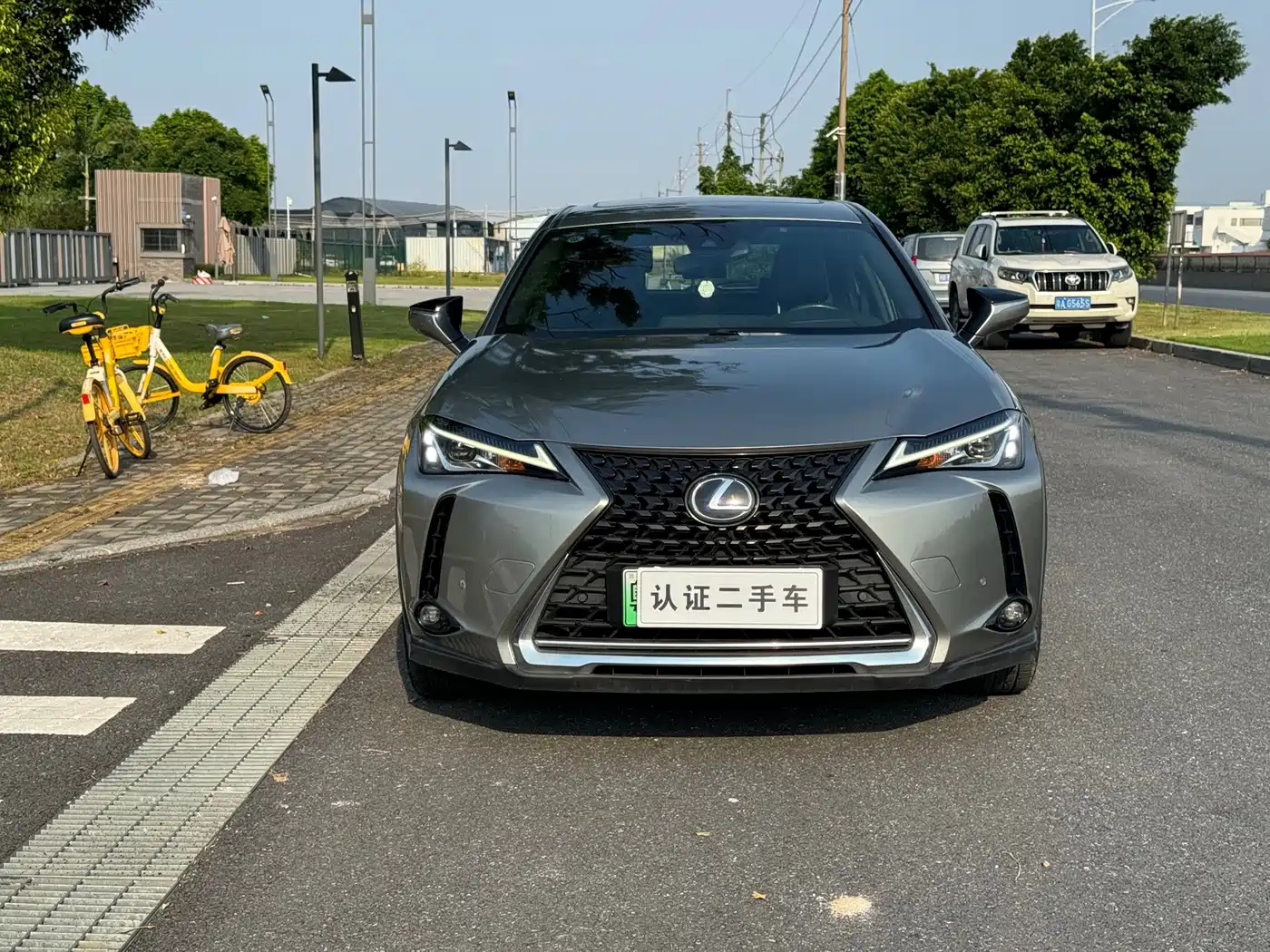 Lexus UX Electric 2020 2020 300e Pure Yue Edition