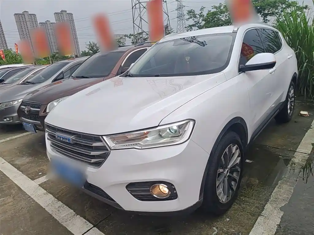 Haval H6 2017 Blue Label 2.0T Automatic 2WD Smart Edition фото 2