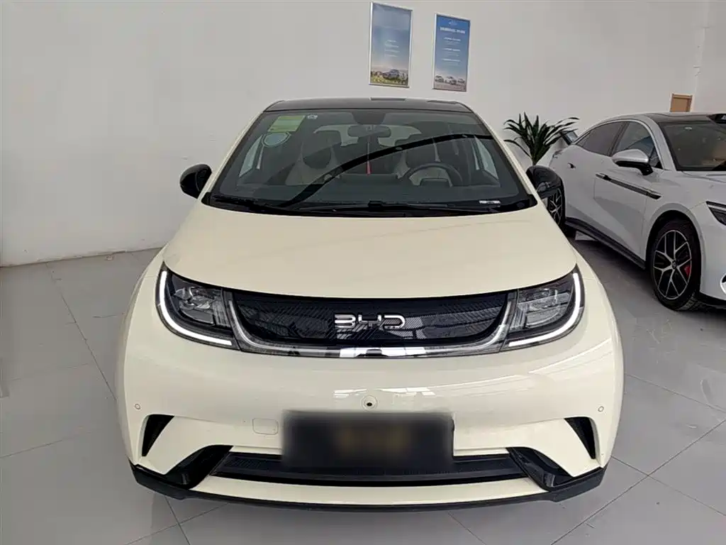 BYD Dolphin 2024 Glory Edition 420km Fashion Edition фото 3