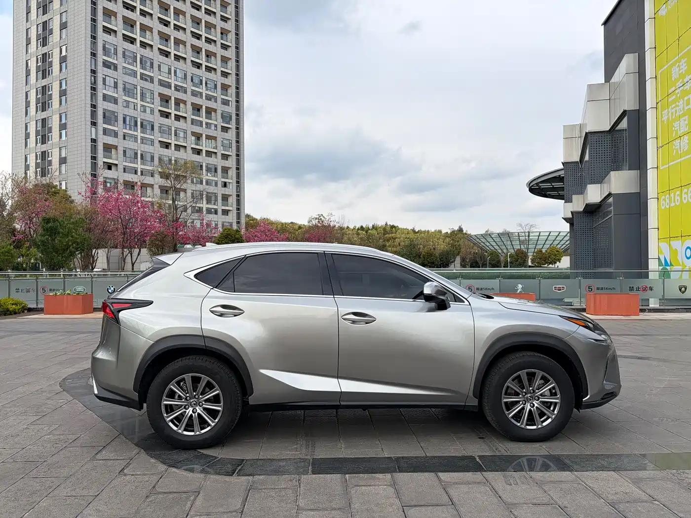 LEXUS NX