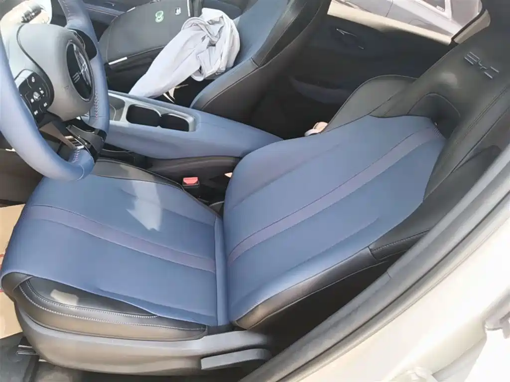 BYD Seagull 2023 Freedom Edition фото 15