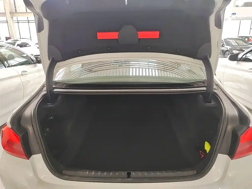 BMW 5 Series 2018 Facelift 530Li Leading Luxury Package фото 19