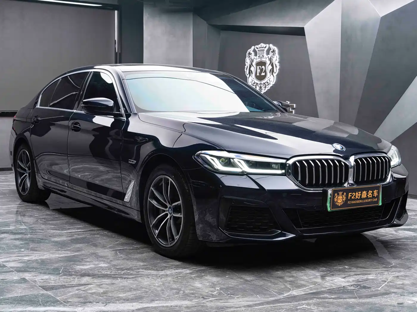 BMW 5 Series New Energy 2022 Model Second Facelift 535Le M Sport Package фото 7