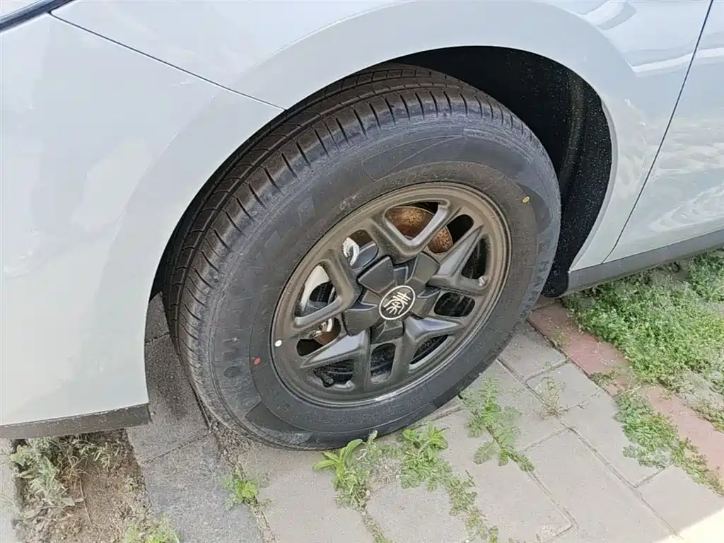 BYD Qin PLUS 2026 DM-i Smart Edition 128KM Progressive фото 23