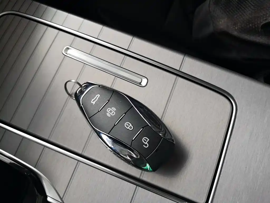 Hongqi HS7 PHEV 2024 2.0T PHEV 4WD Flagship Edition 6-seater фото 9
