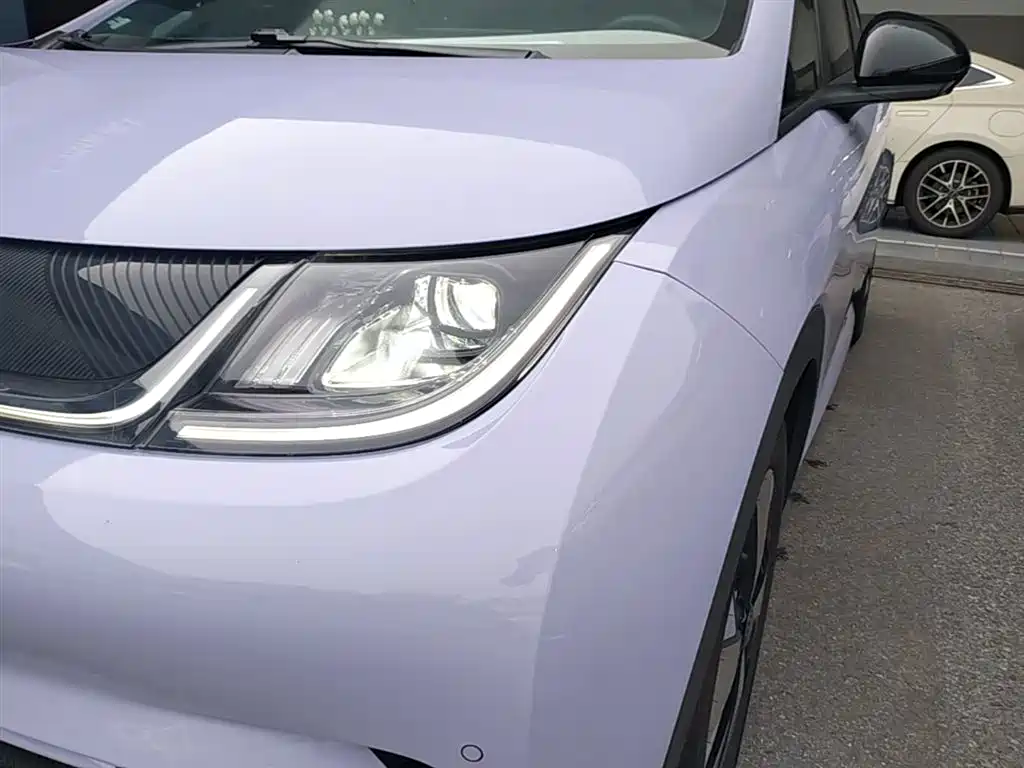 BYD Dolphin 2023 420km Fashion Edition фото 24