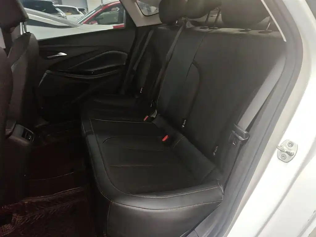 BUICK WEILANG