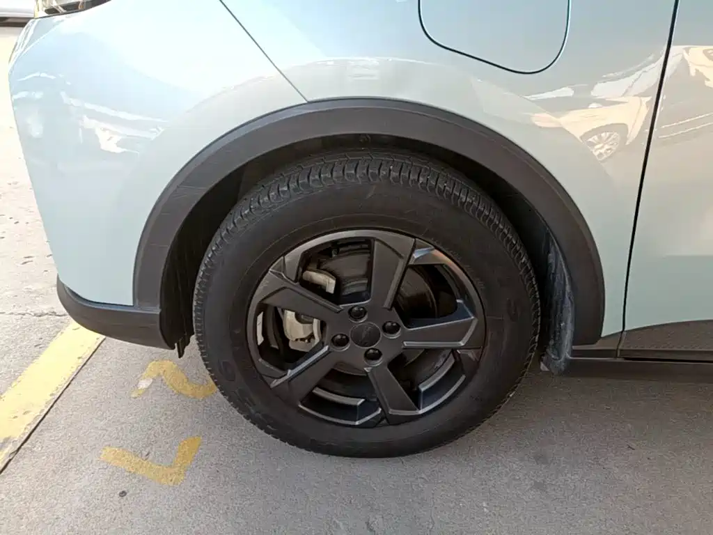 Geely Geometry E Firefly 2022 2022 401KM Delicate Tiger 4-seater