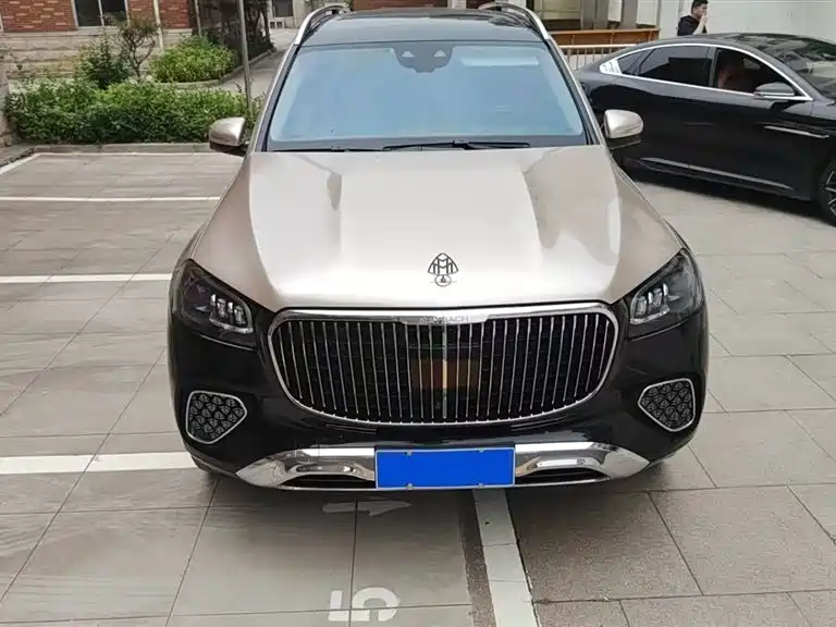 Mercedes-Benz Maybach GLS 2025 GLS 480 4MATIC фото 5
