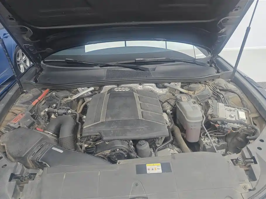 Audi A6L 2021 40 TFSI Luxury Sport фото 10