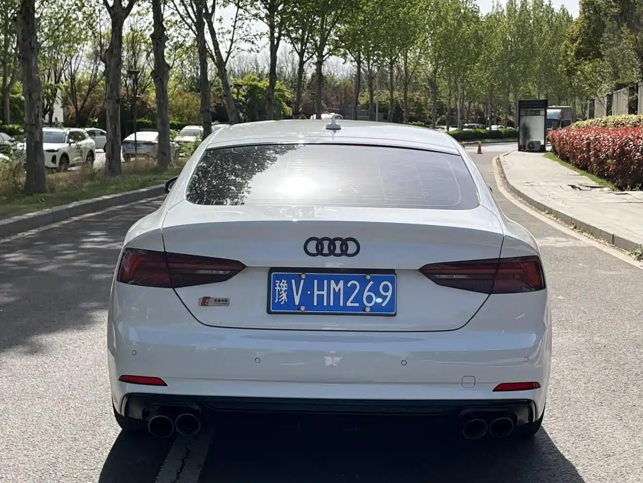 Audi A5 (Import) 2017 Sportback 40 TFSI Fashion фото 6