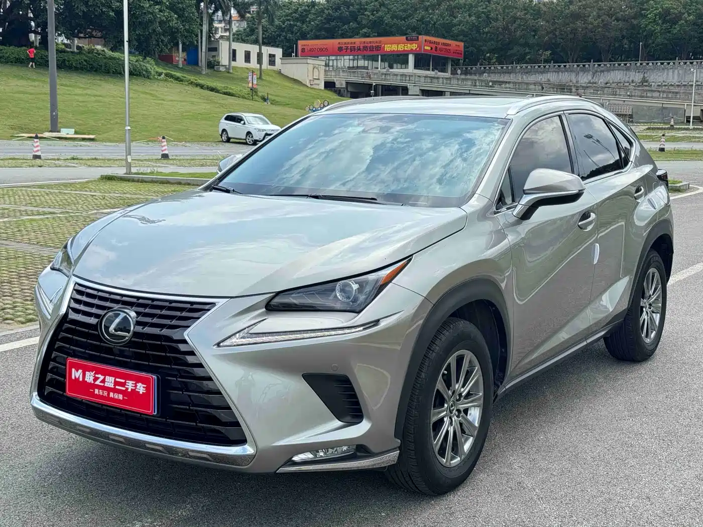 Lexus NX 2020 200 AWD F Sport China VI