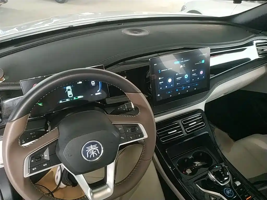 BYD Qin PLUS 2024 Glory Edition DM-i 55KM Leading фото 10