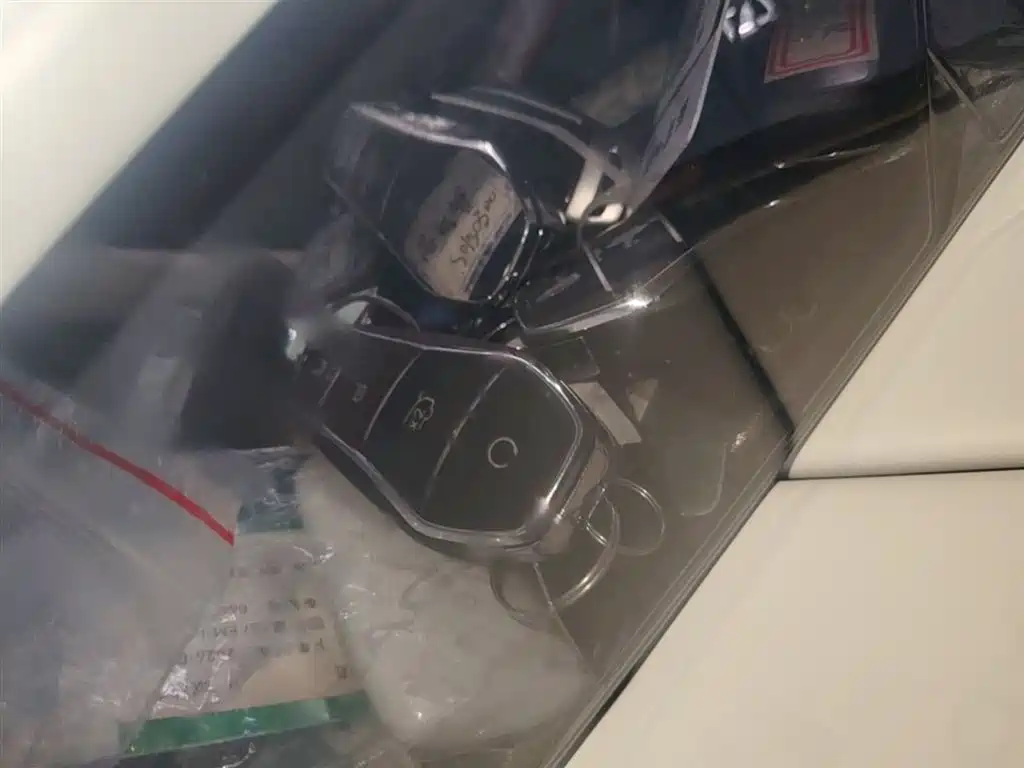BYD Han L 2025 EV AWD LiDAR Flagship фото 9