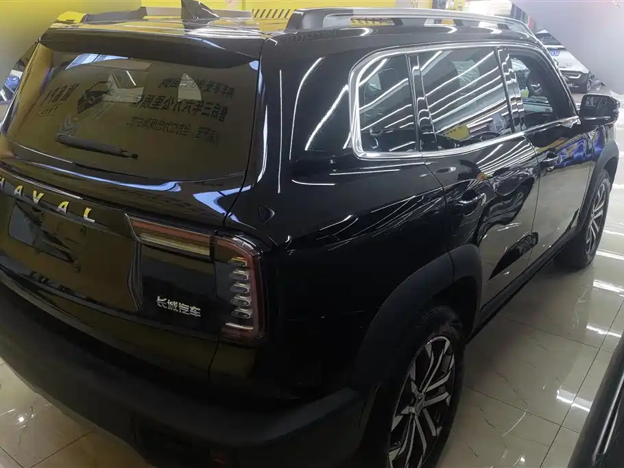 Haval Big Dog 2021 1.5T DCT 2WD Border Collie Edition фото 3
