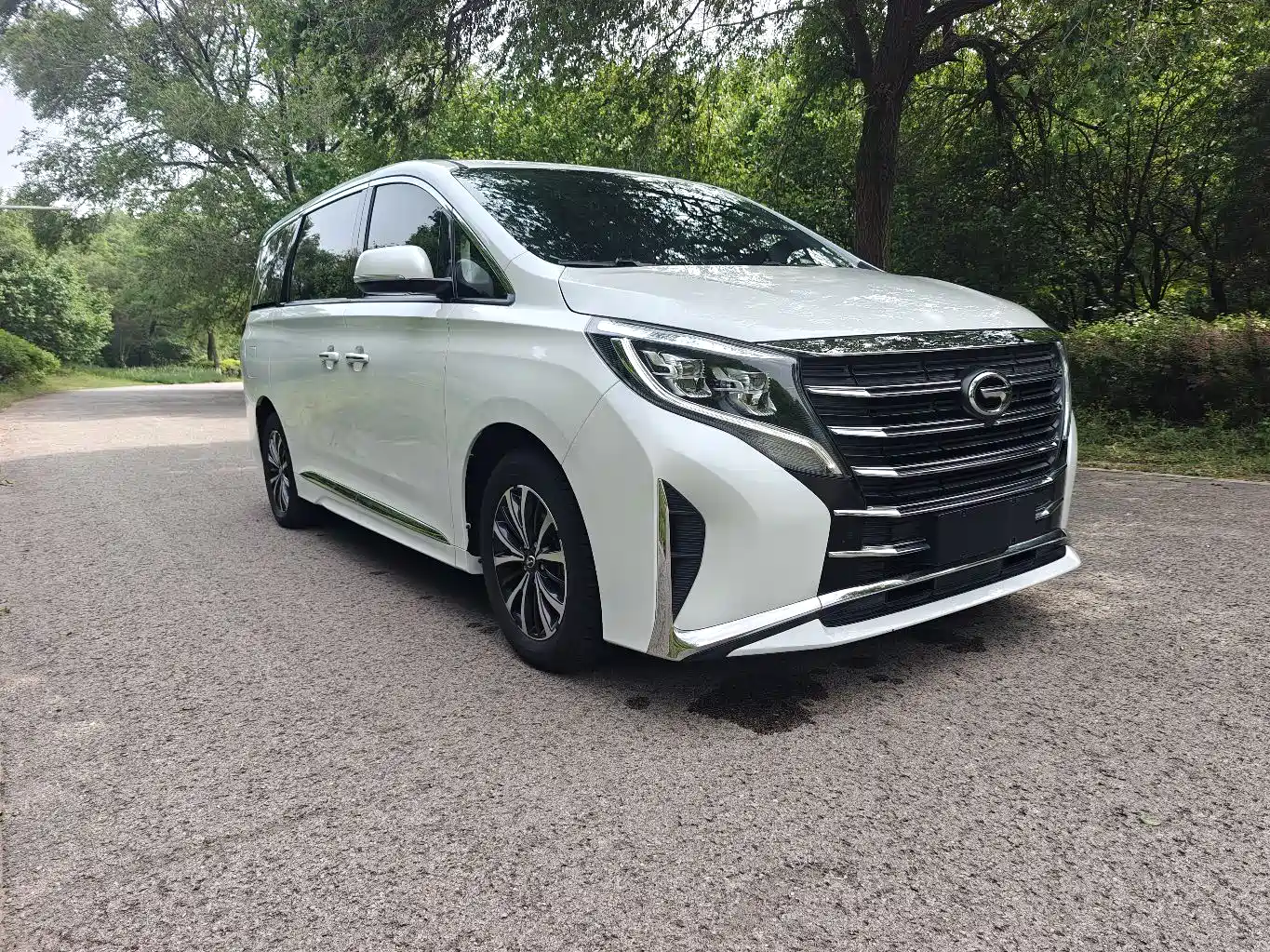 GAC Trumpchi Trumpchi M8 2024 Leadershow Series 390T Luxury Edition фото 3