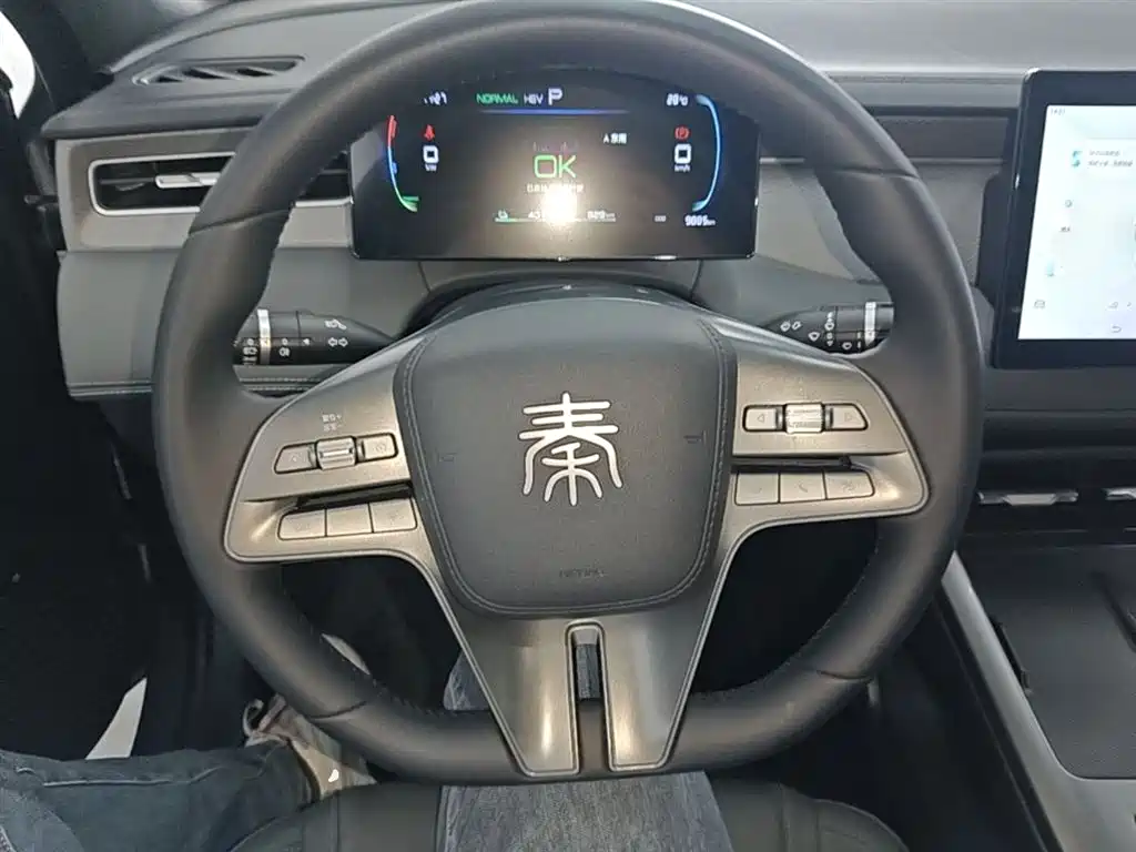 BYD Qin PLUS 2025 DM-i Smart Drive 55KM Leader фото 11