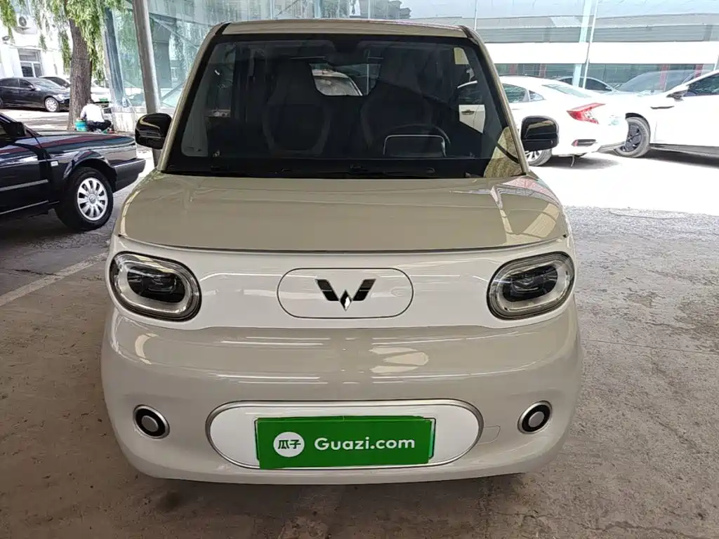 Фото 3 - Wuling Motors Hongguang MINIEV