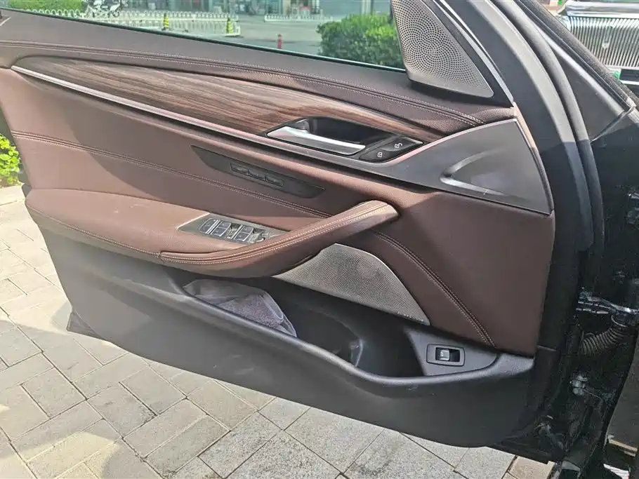 BMW 5 Series 2021 530Li xDrive Luxury Package фото 7