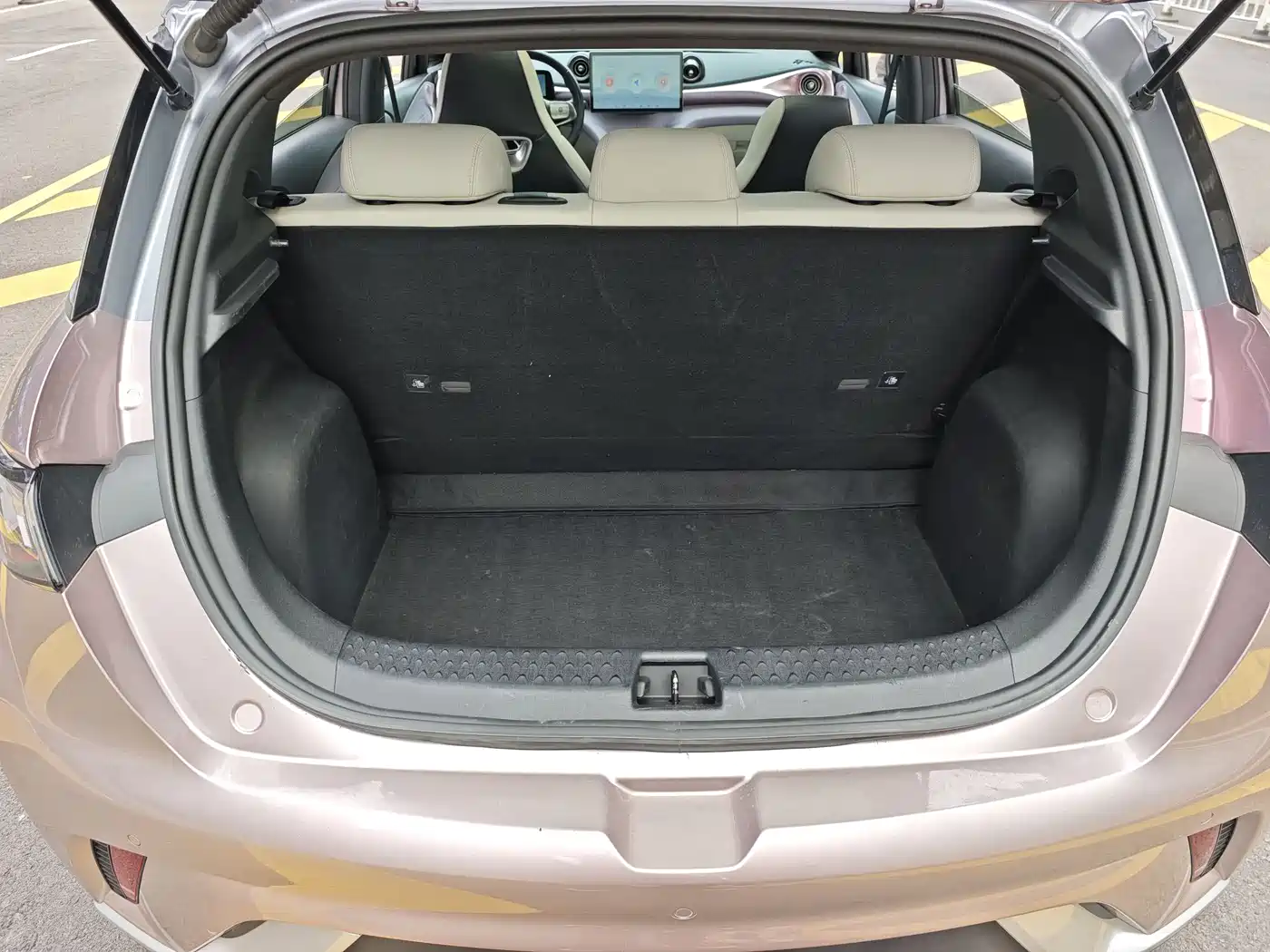 BYD Dolphin 2021 Model 405km Fashion Edition фото 26