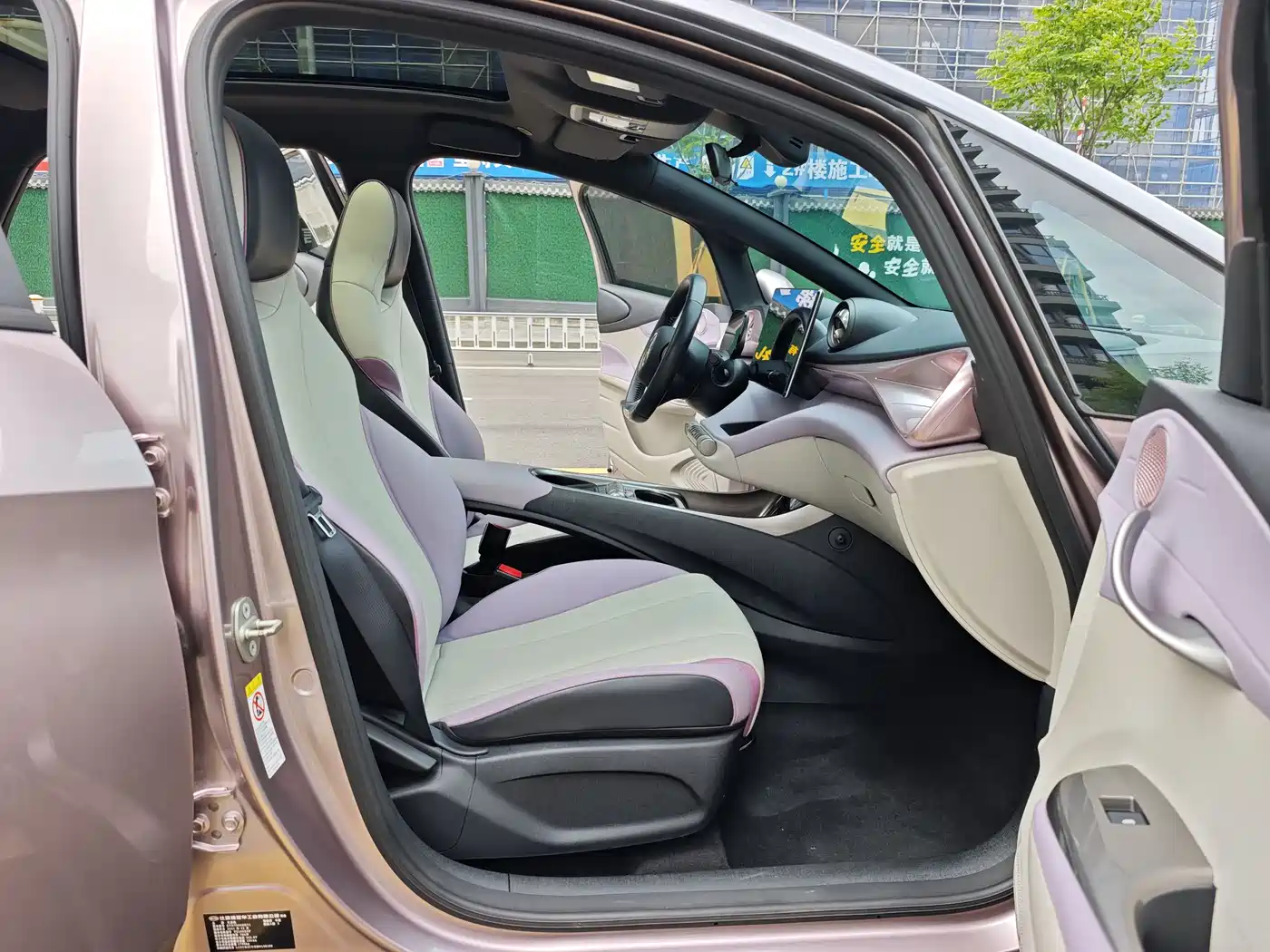 BYD Dolphin 2021 Model 405km Fashion Edition фото 13