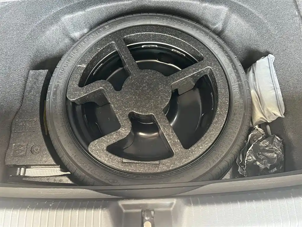 Volkswagen Golf 2023 Model 280TSI DSG R-Line фото 19