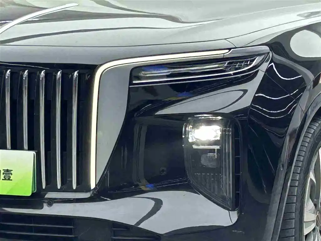 Hongqi HONGQI E HS9