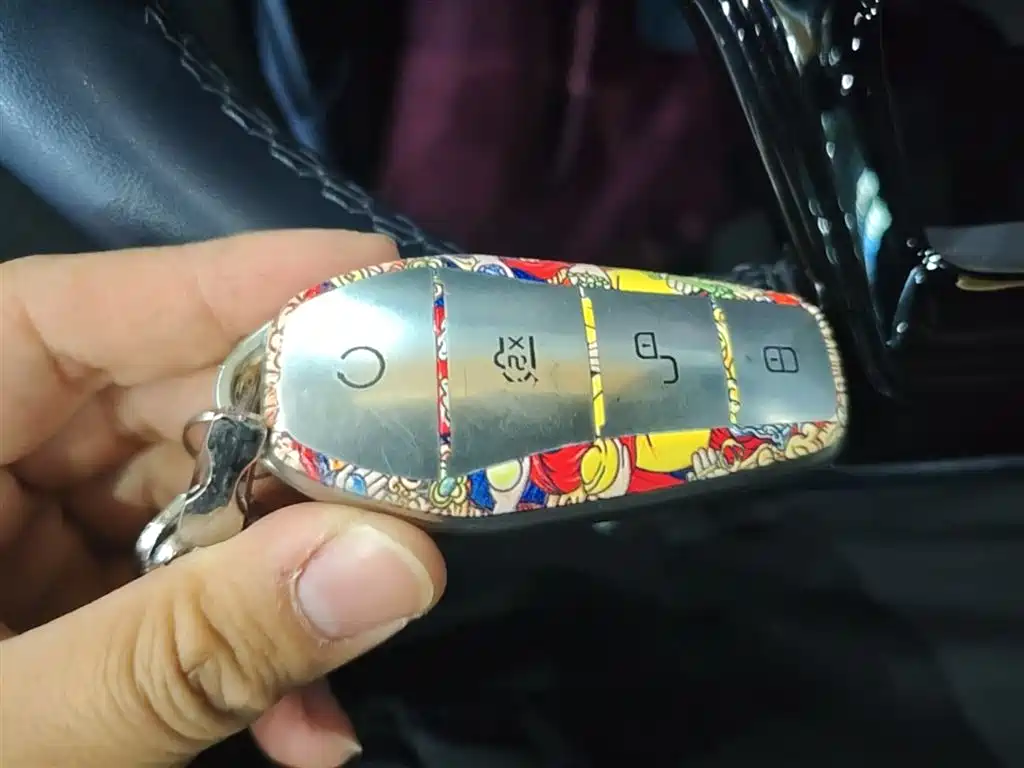BYD Song PLUS PHEV 2023 Champion Edition DM-i 110KM Flagship фото 9
