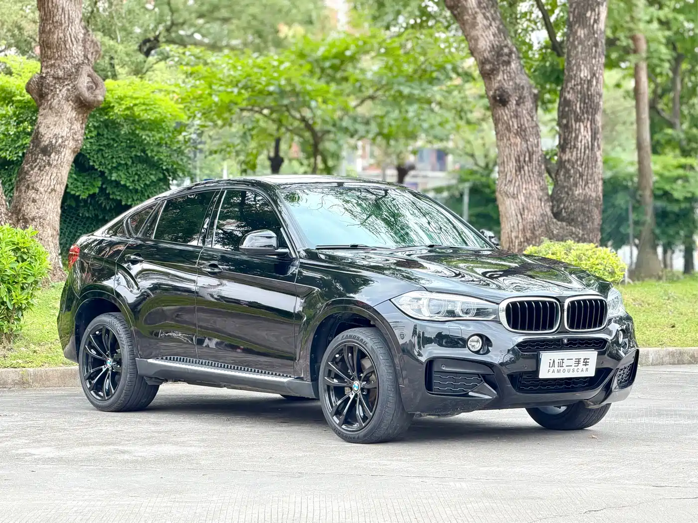 Фото 3 - BMW X6