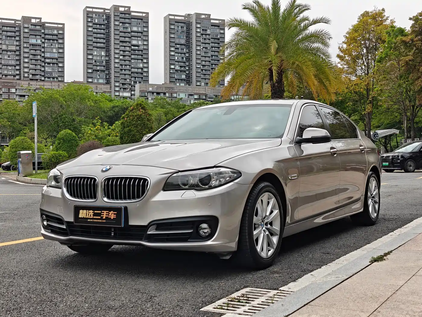 BMW 5 Series 2014 528Li Leading Edition