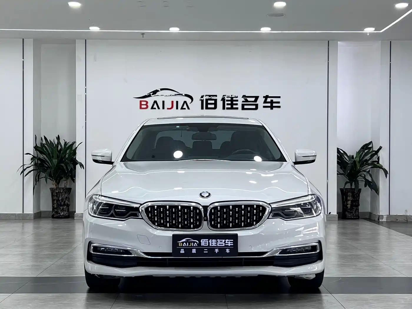 BMW 5 Series 2019 530Li Premium Luxury Package фото 2