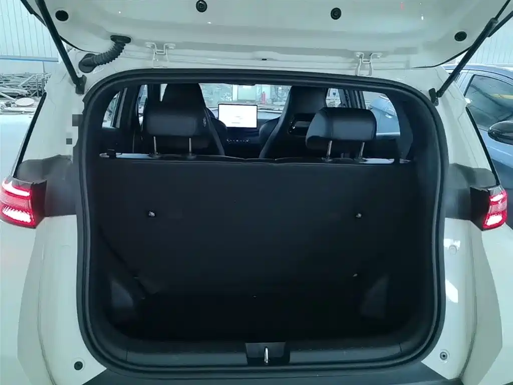 BYD Seagull 2025 Smart Drive Edition 305km Freedom Version фото 19