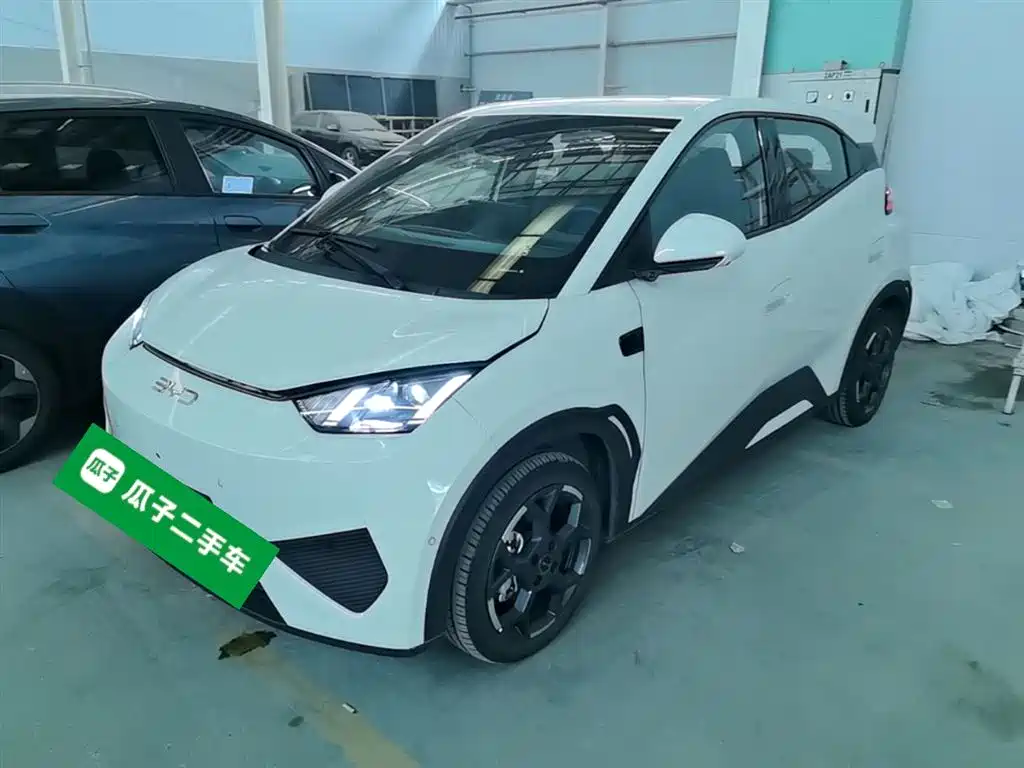 BYD Seagull 2025 Smart Drive Edition 305km Freedom Version фото 2