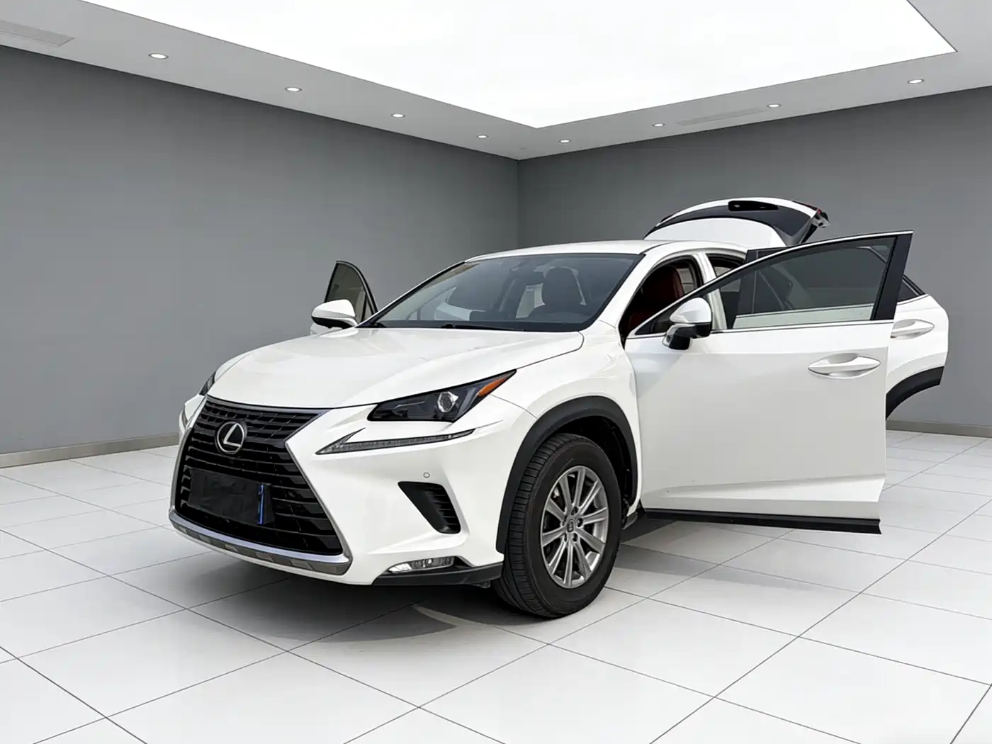 LEXUS NX