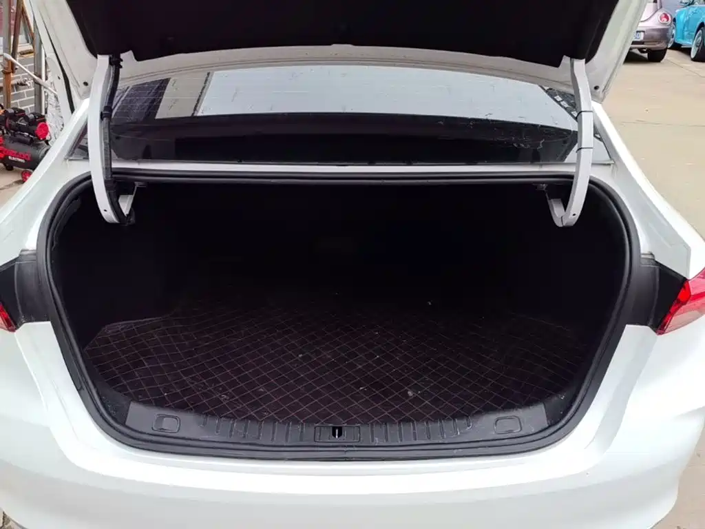 BUICK WEILANG