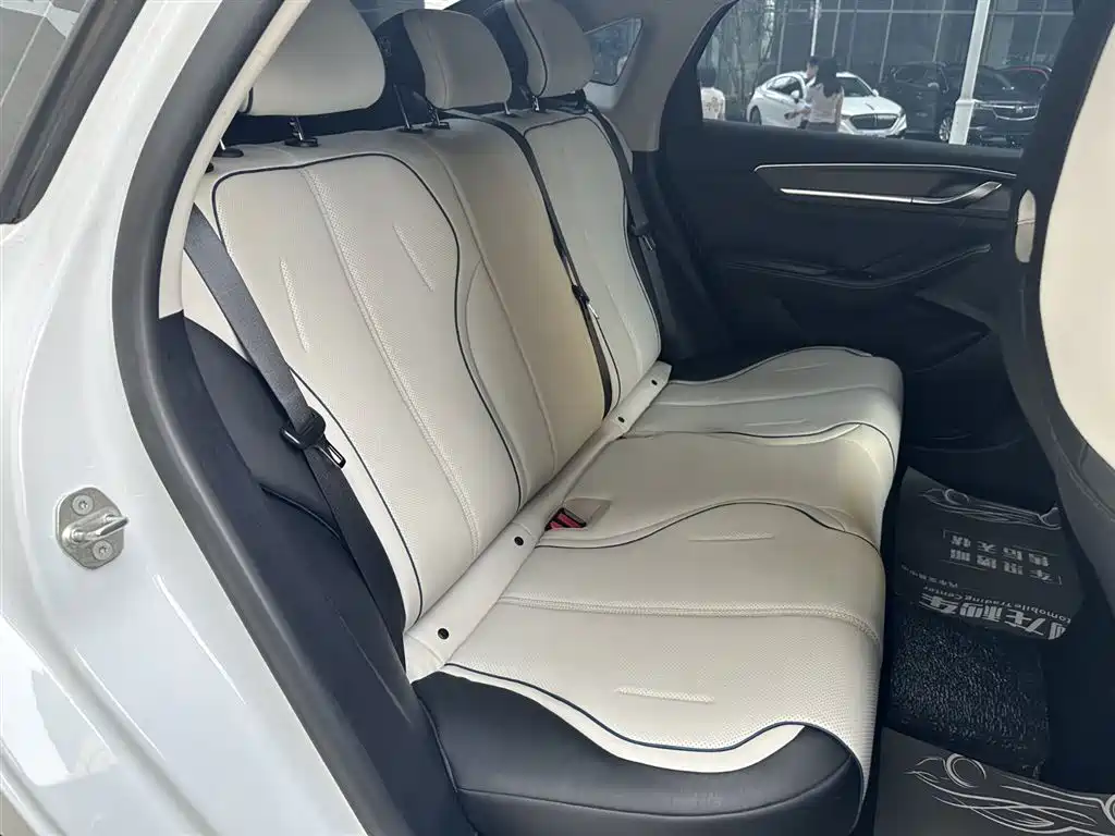 BYD Destroyer 05 2024 Glory Edition DM-i 120KM Luxury фото 16