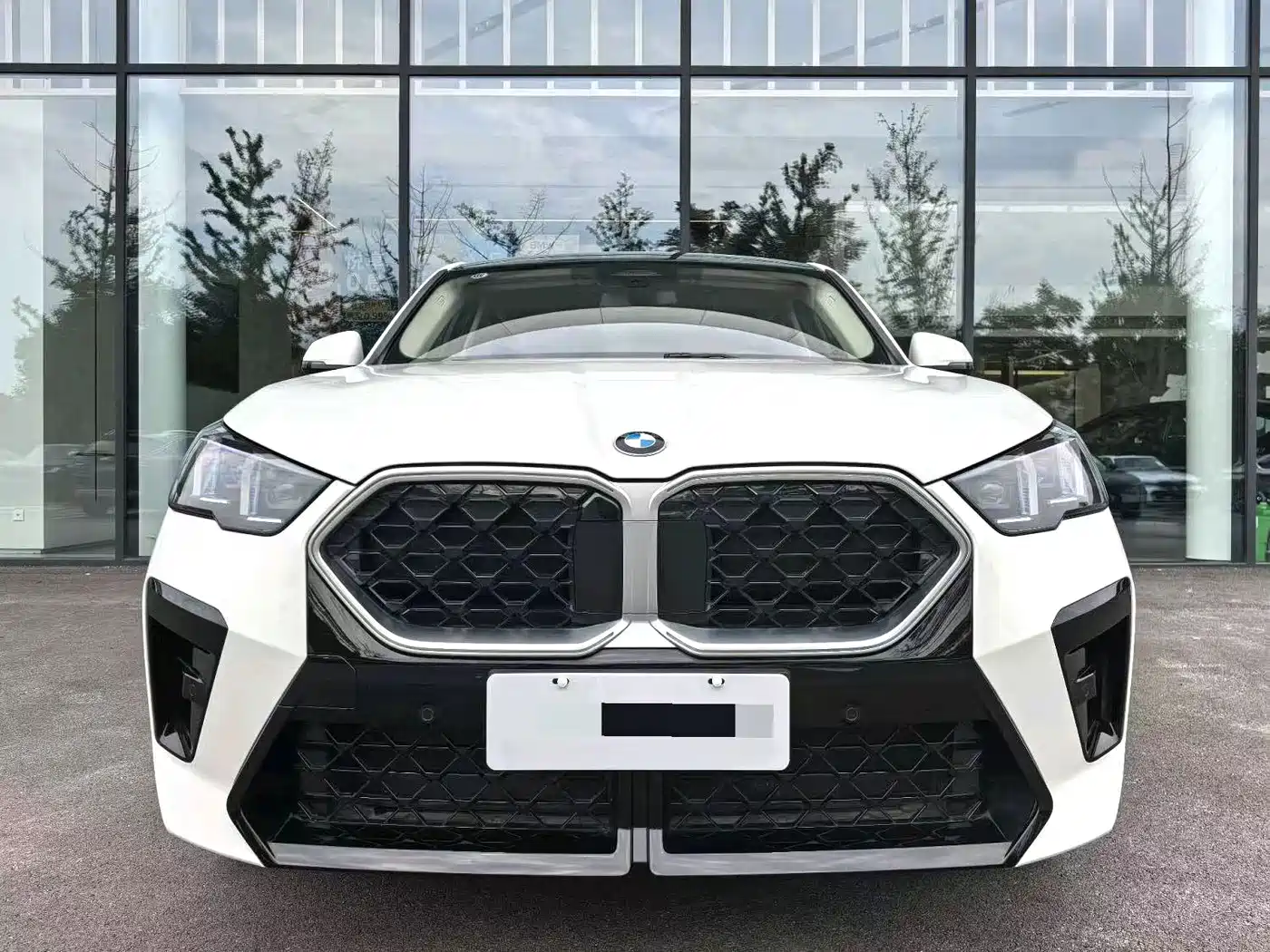 2025 BMW X2 (Import)